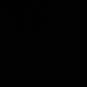 Meet your Posher, Bob